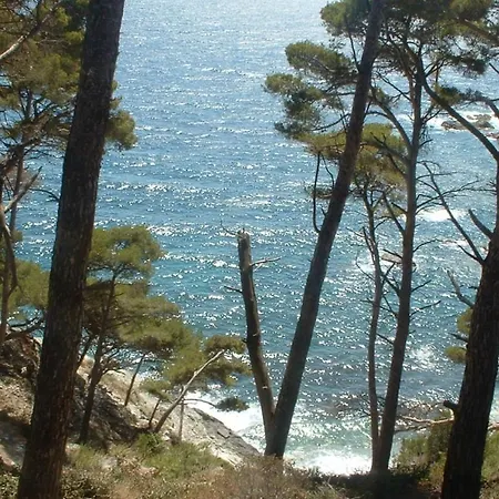 Charming With Terrace By The Beach *